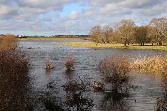 Le Lac de Rillé